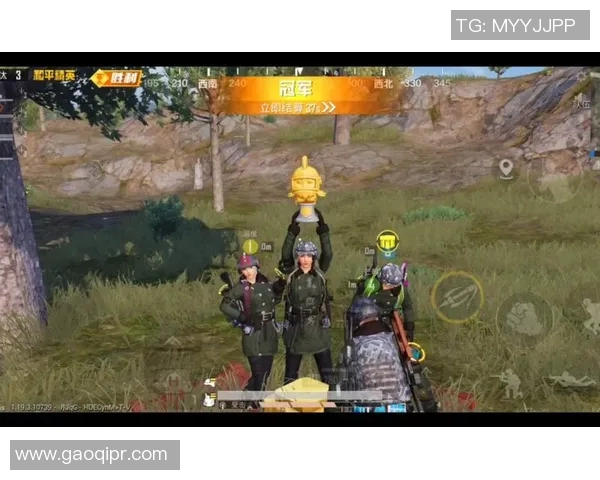 聚焦和平精英：探索WE战队在团队协作中的默契与策略